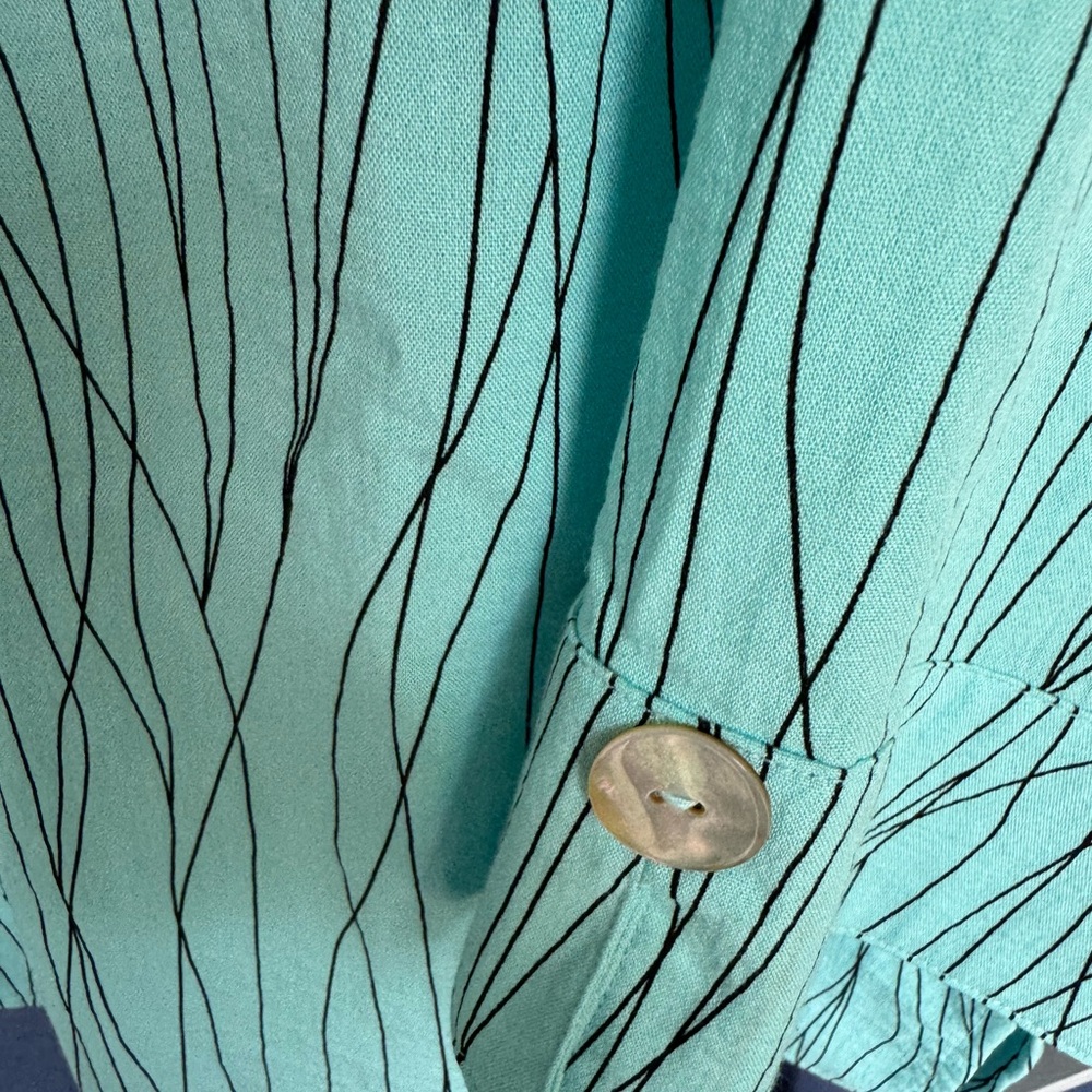Ali Miles Aqua Button-Down Shirt with Dark Lines - Picture 6 of 8